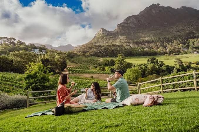 Picnic overlooking the Constantia wine valley